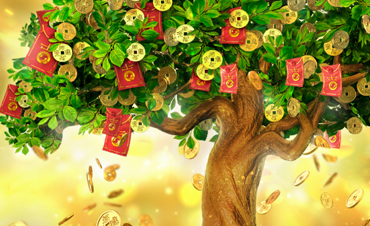 Tree Of Fortune | Pocket Games Soft | Difference Makes The Difference
