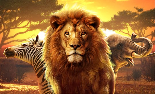 Safari Wilds by PG Soft